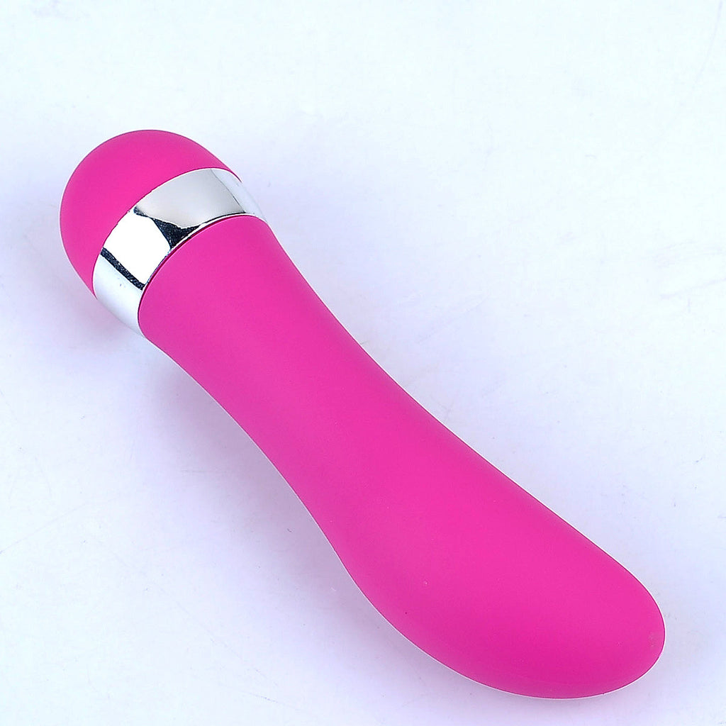 Portable vibrator