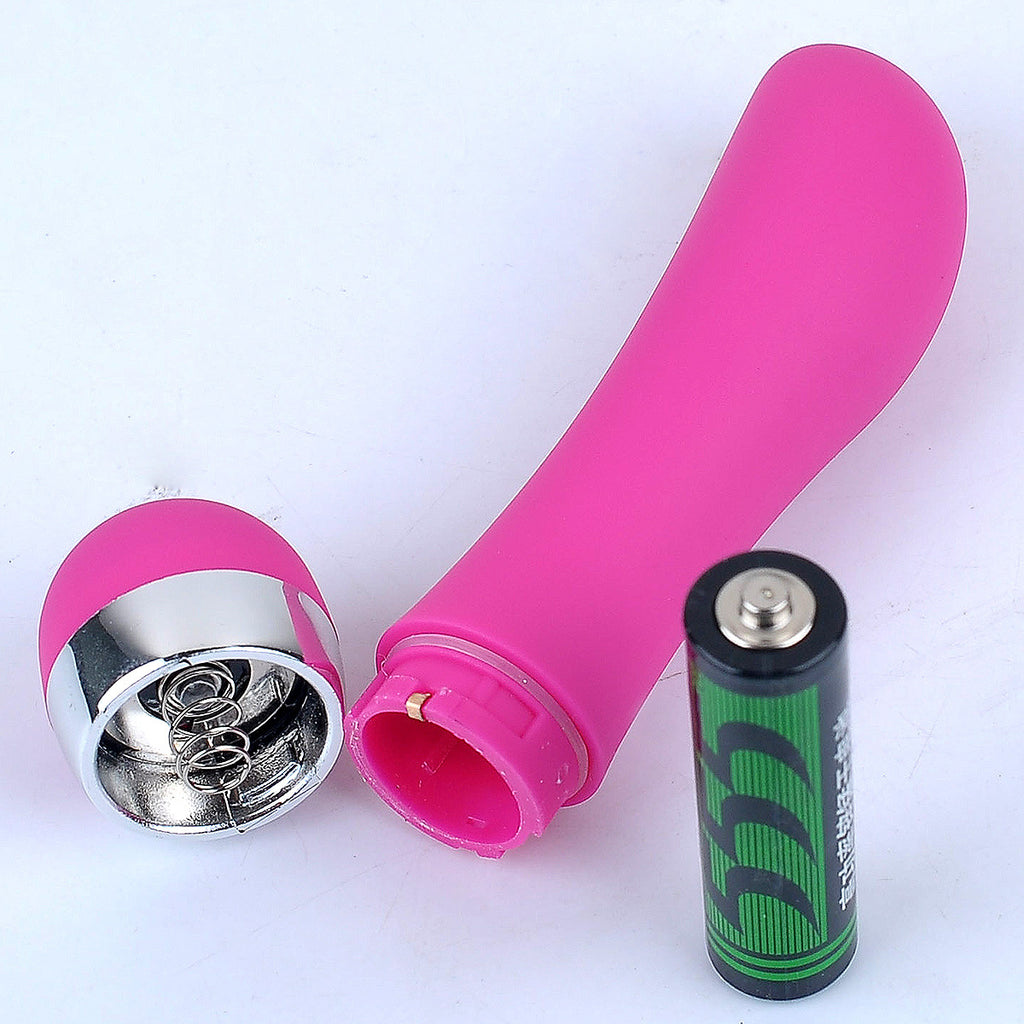 Portable vibrator